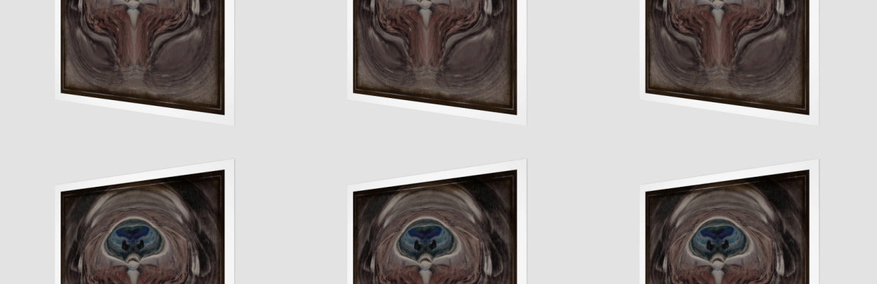 THE MIND'S EYE OF A MONKEY