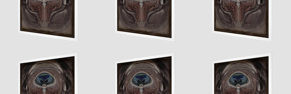 THE MIND'S EYE OF A MONKEY